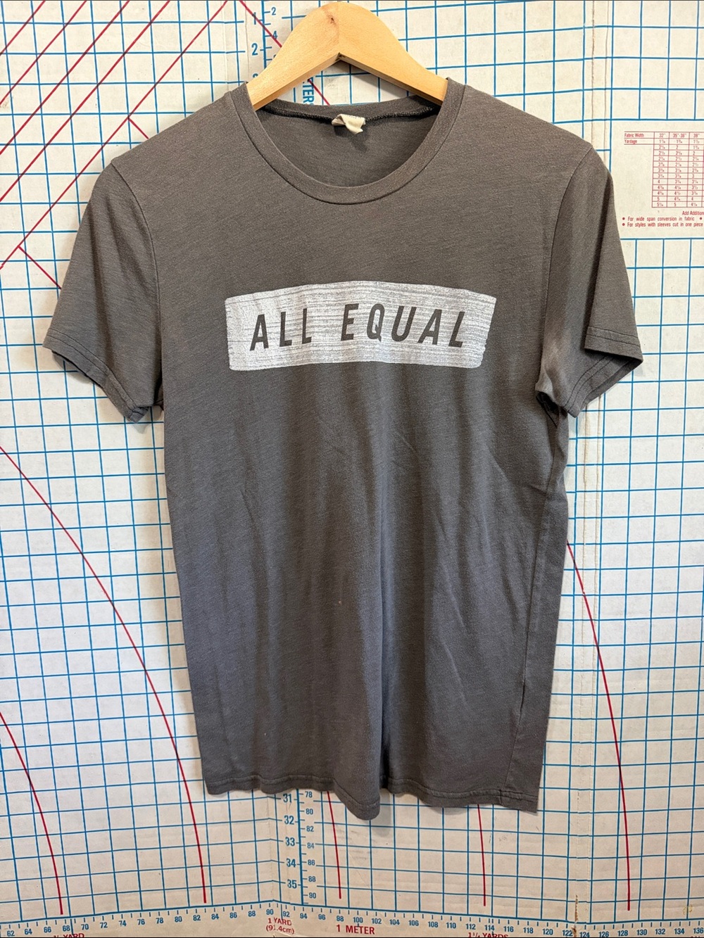 Hollister Men's Gray Graphic 'ALL EQUAL' Crew Tee